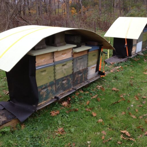 beehives ready for winter