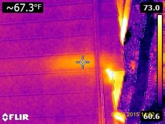 Infrared photo of exterior active hive