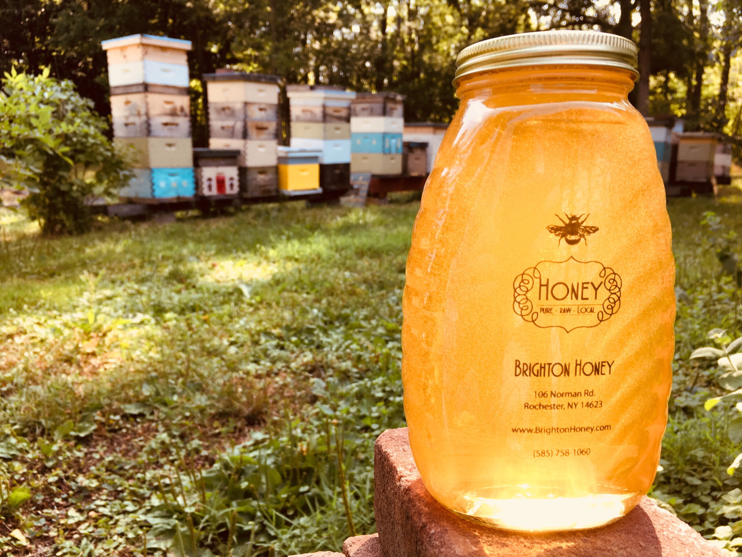 24 oz Spring Light in Yard Local honey brightonhoney.com