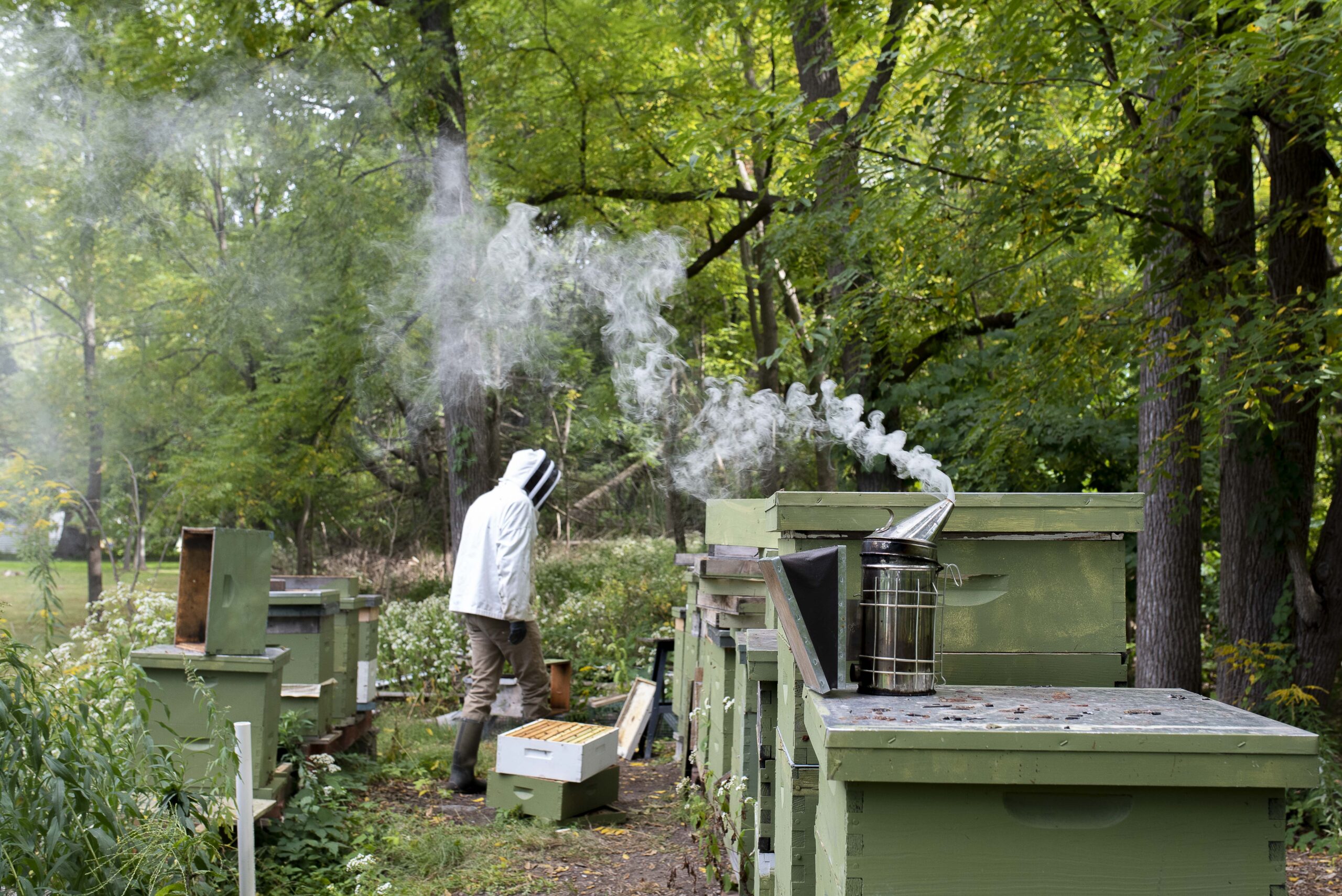 wildflower honey - brightonhoney.com