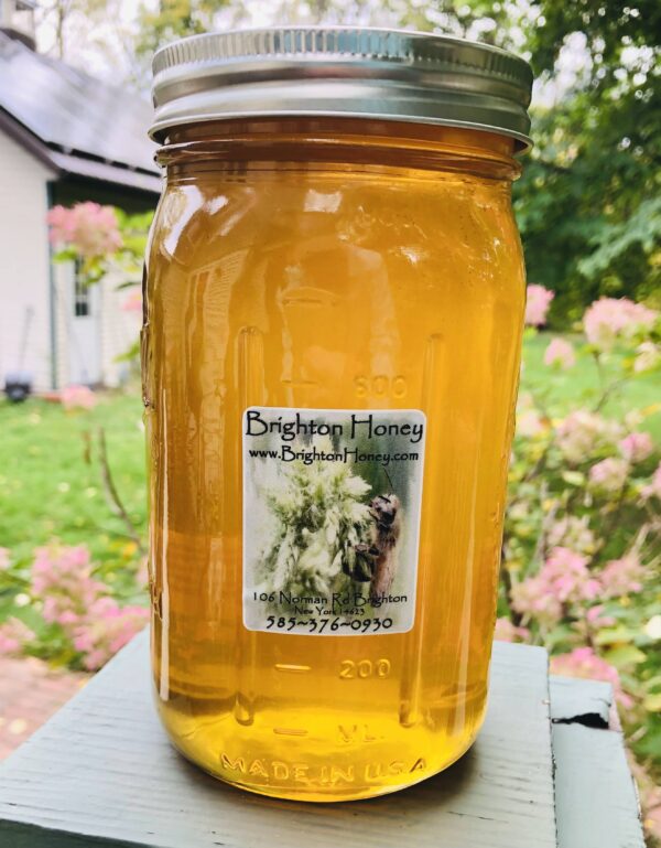 3lb spring light honey brightonhoney.com