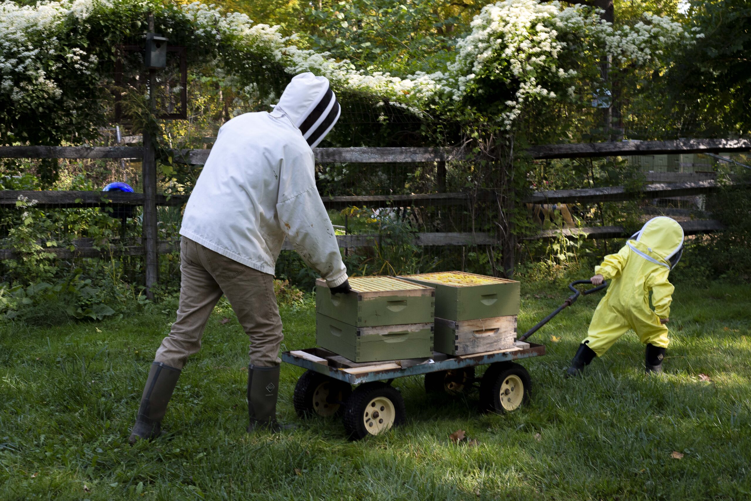 Honey supers on wagon brightonhoney.com